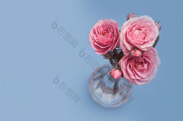 酿酒的粉红色的花束关于玫瑰采用装饰瓶向蓝色背景