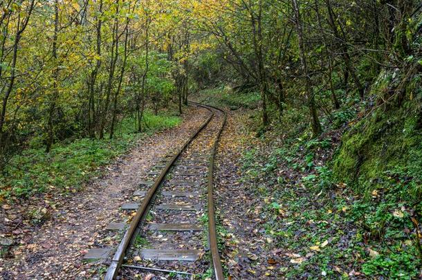 铁路小路将切开通过秋森林