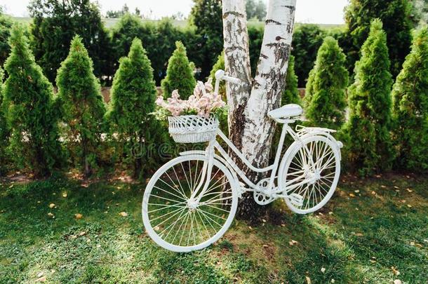 婚礼布置和白色的自行车和花