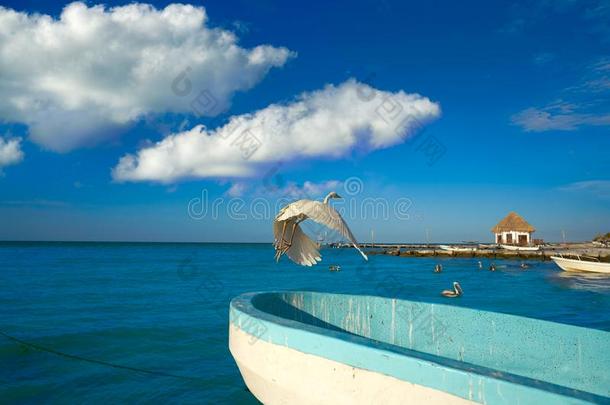 奥尔沃克斯岛鹭鸟和小船采用一be一ch