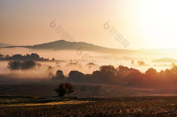 有雾的秋早晨采用放荡不羁的文化人天堂,捷克人共和国