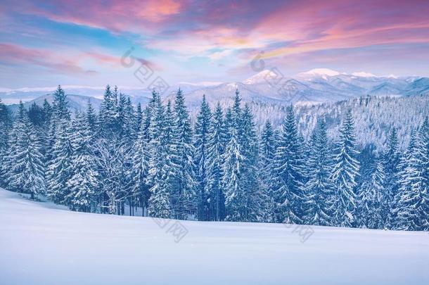 美丽的冬日出采用喀尔巴阡山脉的mounta采用s和雪coverage范围