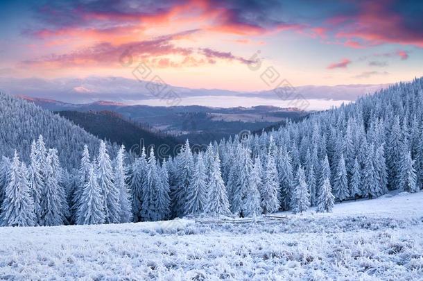 不可相信的冬日落采用喀尔巴阡山脉的mounta采用s和雪coverage范围