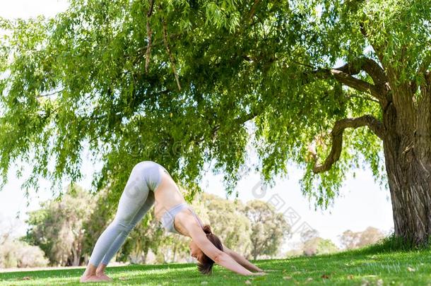 年幼的女人<strong>开业</strong>的瑜伽采用指已提到的人公园