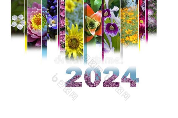 2024和花的主题很欢乐的和富有色彩的