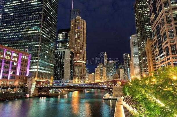 芝加哥地平线在夜