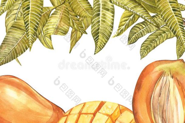 芒果树,花酿酒的设计样板.水彩神物铺子
