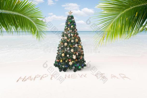 看法关于美好的圣诞节和新的年主题热带的海滩