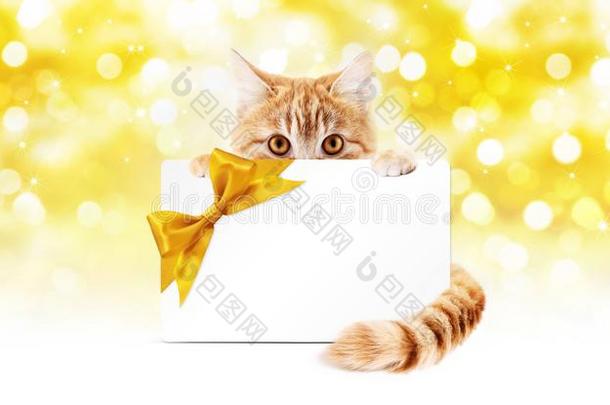 姜猫和赠品<strong>卡片</strong>和<strong>金色</strong>的带弓隔离的向谢利