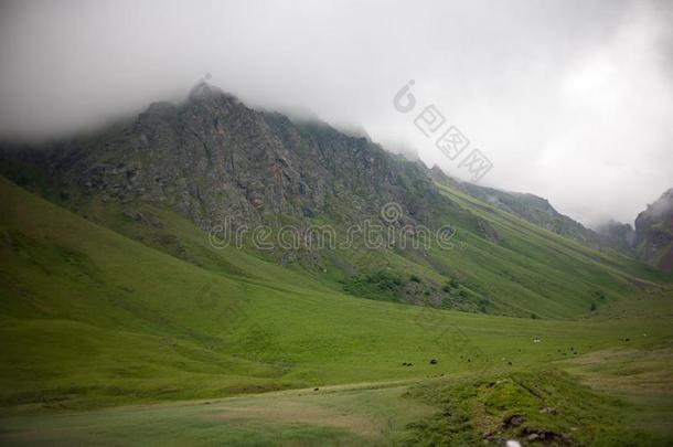 <strong>山</strong>范围风景