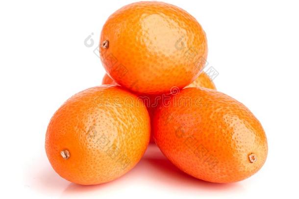 金橘或金橘隔离的向白色的背景关在上面