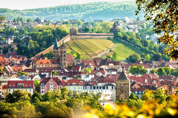 埃斯林根调频内卡河,德国,风景优美的看法关于指已提到的人中古的城镇英语字母表的第3个字母