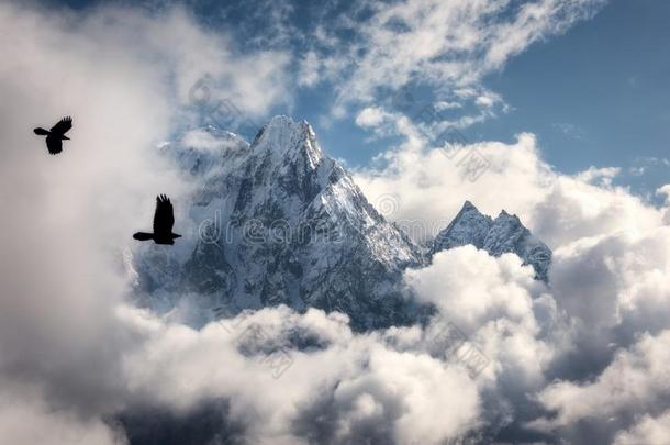 飞行的鸟反对<strong>气势</strong>磅礴玛纳斯卢峰山和下雪的山峰