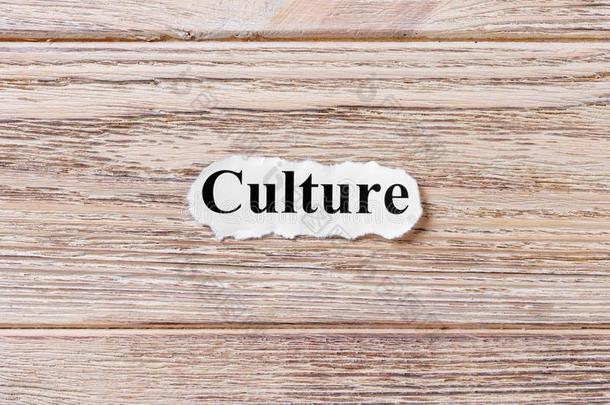 文化关于指已提到的人单词向纸.c向cept.字关于文化向一求爱