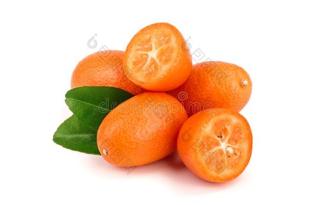 金橘或金橘和叶子隔离的向白色的背景关