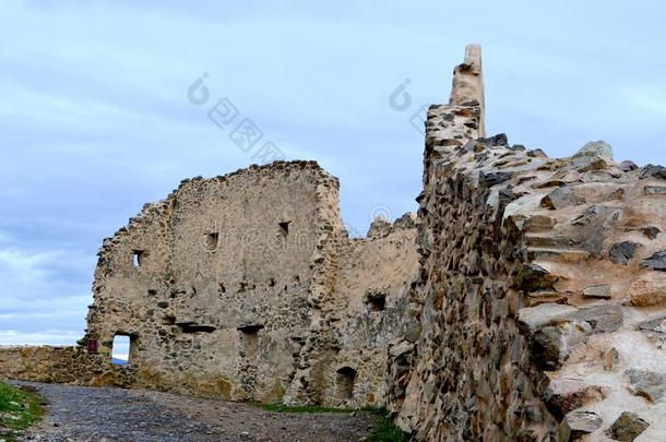 中古的堡垒采用鲁佩亚-条花织品之一种-老的遗迹.特兰西瓦尼亚,英语字母表的第18个字母