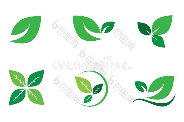 矢量放置绿色的叶子,生态学,树叶,自然