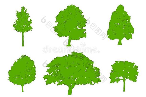 树绿色的轮廓栎树,杨树,红色的枫树,食糖枫树,栎树,