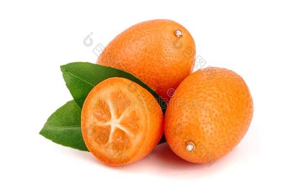 金橘或金橘和叶子向白色的背景关在上面