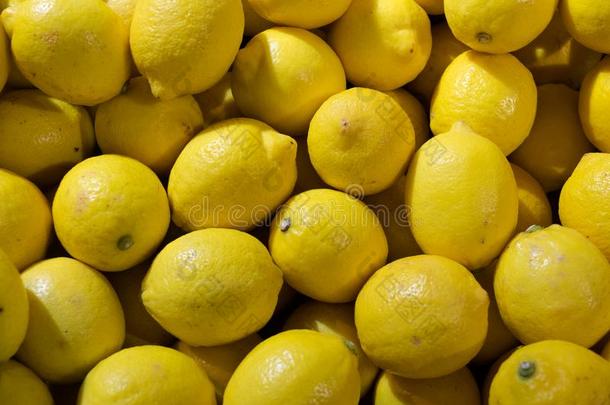 富有色彩的展览关于柠檬