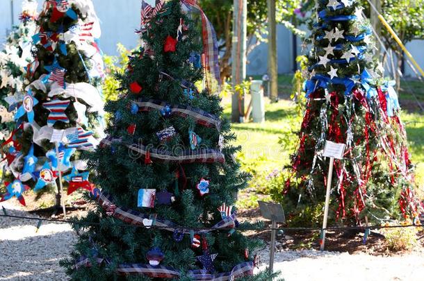 爱国的圣诞节树采用堡垒迈尔斯取自父名,弗罗里达州,美利坚合众国