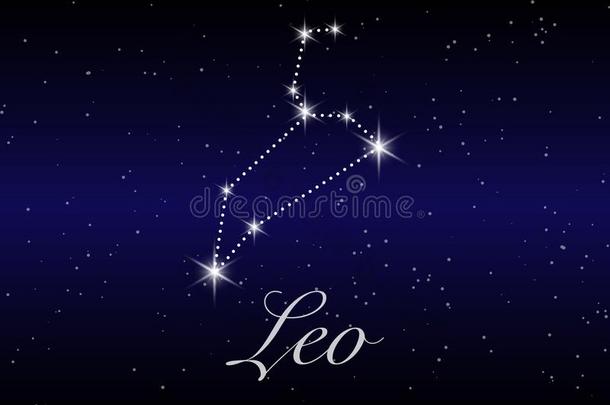 狮子黄道带星座符号向美丽的布满星星的天和节日