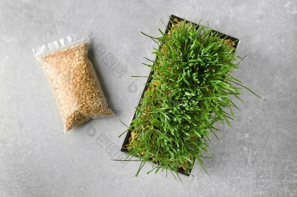 发芽和小麦草和种子采用塑料制品包装
