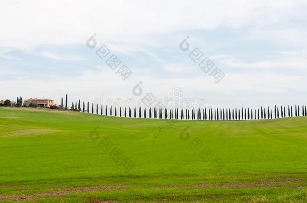 风景优美的看法关于托斯卡纳区风景和绿色的小山和柏属植物Turkey土耳其