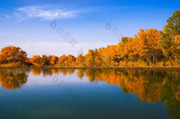湖采用秋