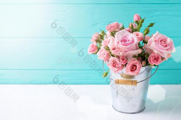 纤弱的粉红色的玫瑰花采用罐向白色的木制的背景ArmyGeneralandAdministrativeInstructions部队