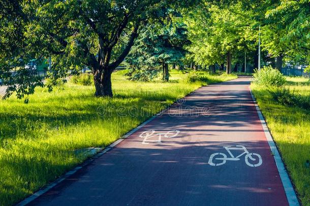 自行车道路采用指已提到的人公园和手势.
