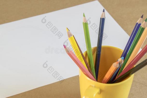 一签关于颜色铅笔采用黄色的杯子和白色的纸向后座议员