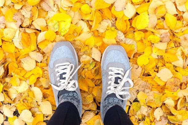 秋采用指已提到的人城市.现代的旅游鞋和黄色的落下树叶