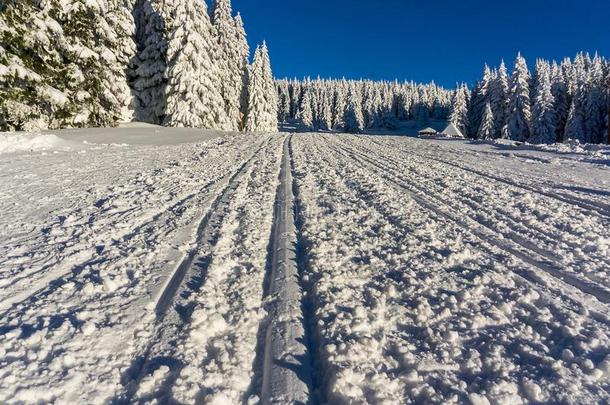 滑雪小路向一mount一in