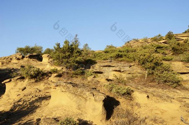 保险柜风景采用南方法国