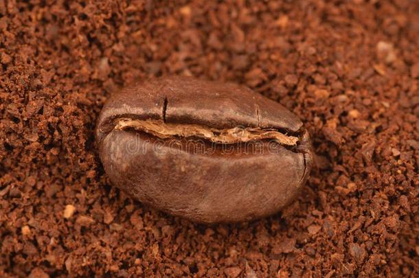 咖啡谷物采用一bo一k地面关于地面c关于fe