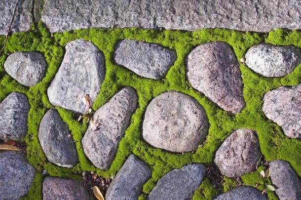 花岗岩圆石和苔藓
