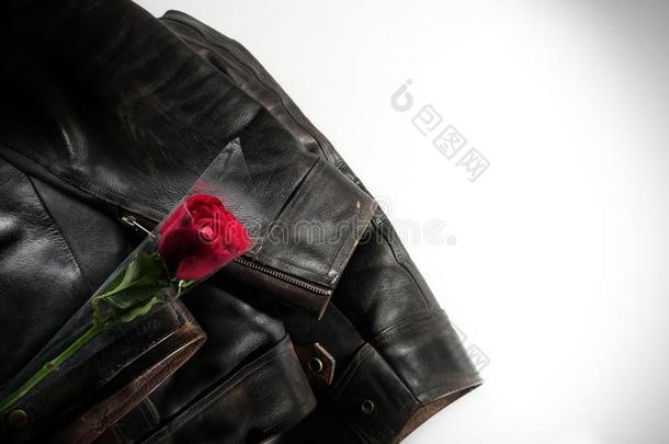 皮短上衣和红色的玫瑰花