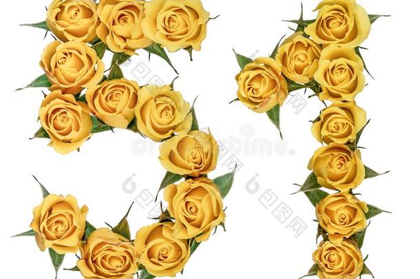阿拉伯的数词<strong>51</strong>,五十个人num.一,从黄色的花关于玫瑰,伊索拉
