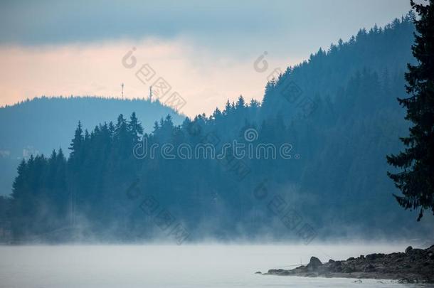 神秘的秋早起和早起在Dosp在湖岸采用保加利亚