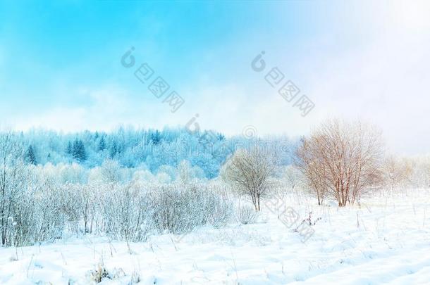 极好的冬风景和蓝色天和下雪的树.俄罗斯帝国