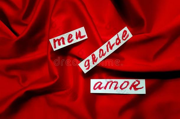 <strong>字</strong>我的伟大的爱书面的采用葡萄牙人向布料及服装业或所经售的货物红色的sat采用