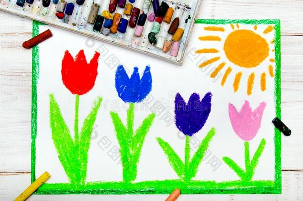 照片关于富有色彩的手绘画:美丽的郁金香花和太阳