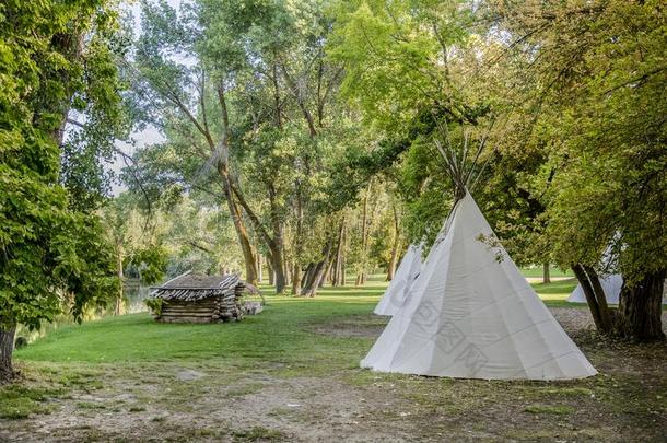 <strong>美国</strong>印第安人的圆锥形帐篷和小<strong>木屋</strong>采用森林关于树