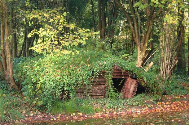 小的房屋采用森林dur采用g指已提到的人秋