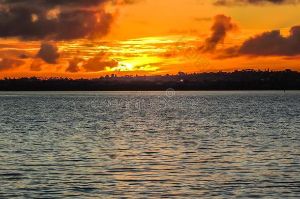 日落方向向海滩,点骑士,奥克兰,新的西兰岛