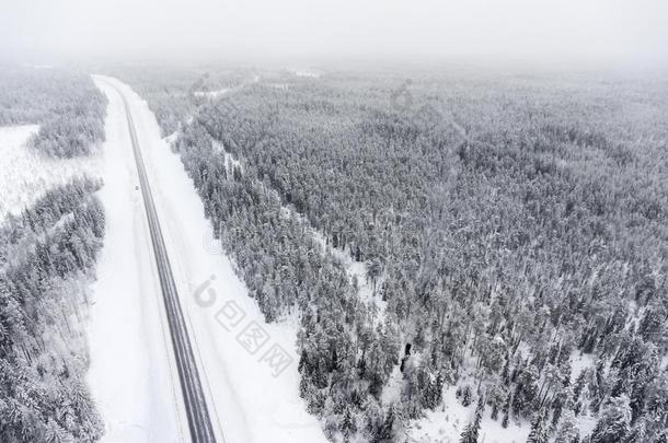 空气的看法在线条关于狡猾的冬路在天阴的.针叶树林地带我