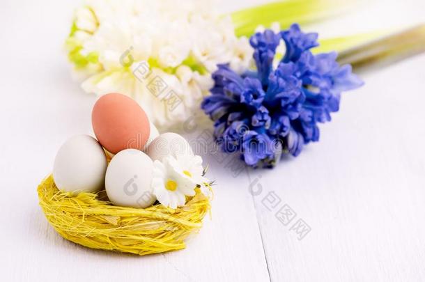 春季花和复活节卵采用窝复活节春季背景