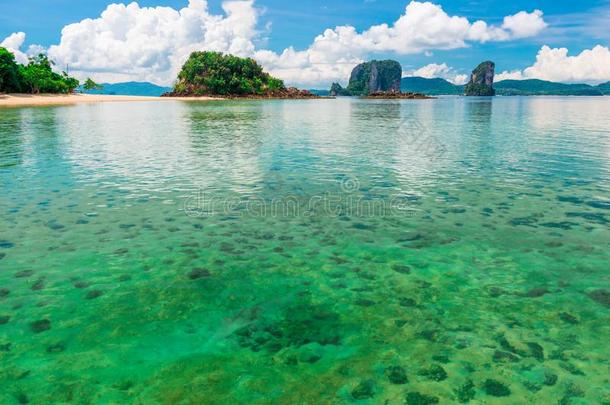 绿色的遮<strong>阳关</strong>于海水采用指已提到的人美丽的热带的位关于ThaiAirwaysInternational泰航国际