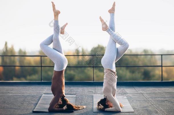 两个年幼的女人做双的<strong>瑜伽</strong>瑜珈的任何一种姿势支持头手<strong>倒立</strong>